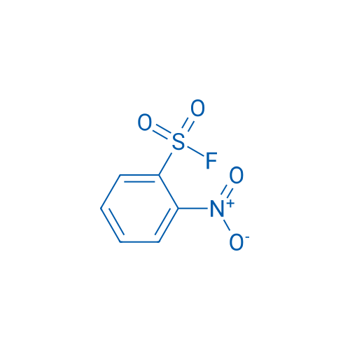 2-Nitrobenzene-1-sulfonyl fluoride 100g