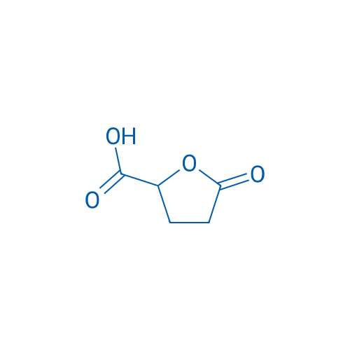 5-Oxotetrahydrofuran-2-carboxylic acid 500g