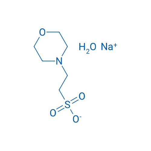 Sodium 2-Morpholinoethanesulfonate Monohydrate 25g