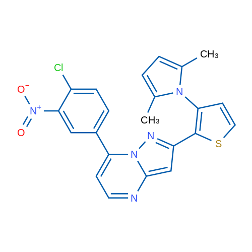 1-{2-[7-(4-chloro-3-nitrophenyl)pyrazolo[1,5-a]pyrimidin-2-yl]thiophen-3-yl}-2,5-dimethyl-1H-pyrrole 1g