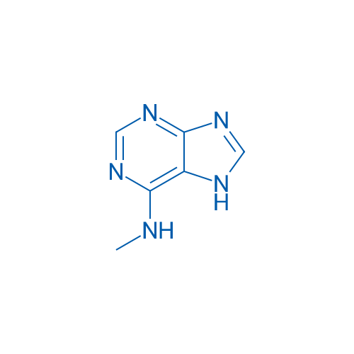 N6-Methyladenine 10g