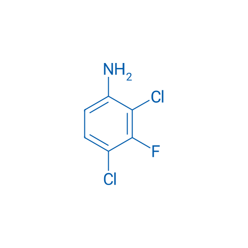 2,4-Dichloro-3-fluoroaniline 10g