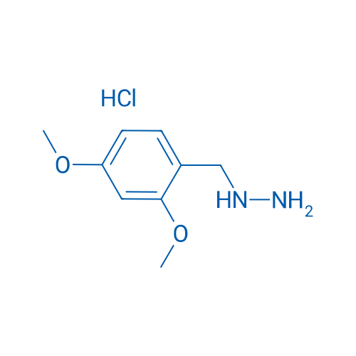 (2,4-Dimethoxybenzyl)hydrazine hydrochloride 1g