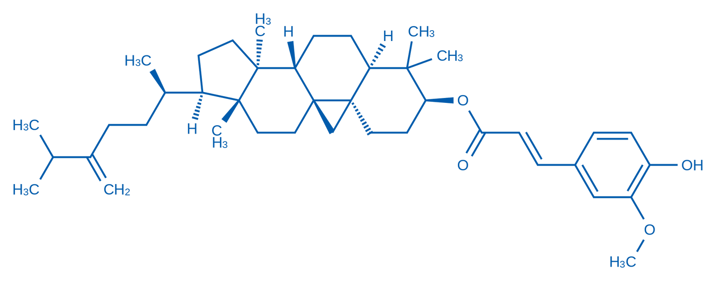 24-Methylenecycloartanyl ferulate 1mg