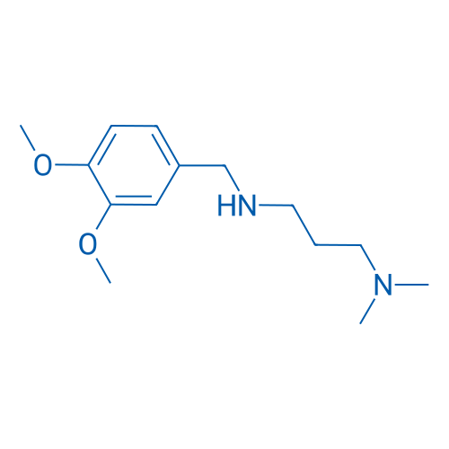 N1-(3,4-Dimethoxybenzyl)-N3,N3-dimethylpropane-1,3-diamine 5g