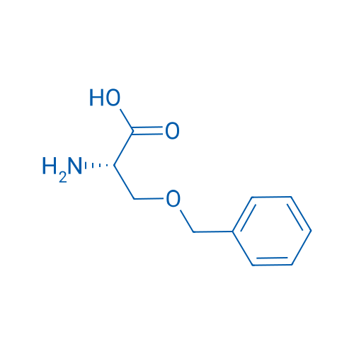 H-Ser(Bzl)-OH 1g