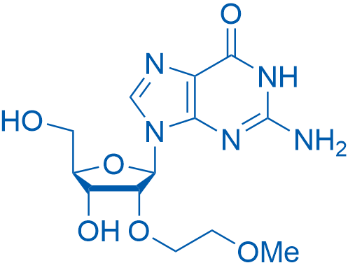 2′-O-(2-Methoxyethyl)guanosine 250mg