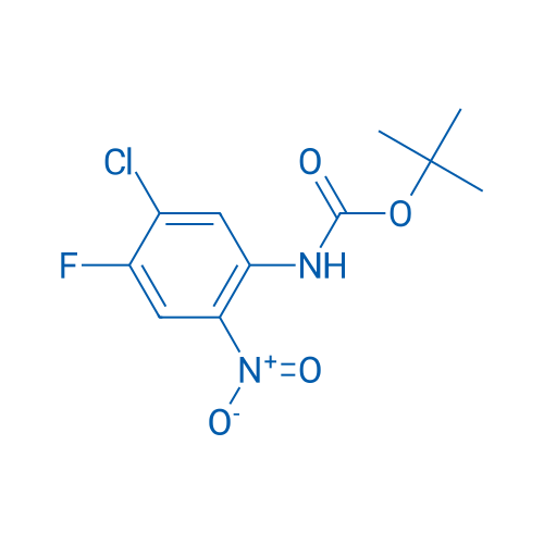 tert-Butyl (5-chloro-4-fluoro-2-nitrophenyl)carbamate 250mg