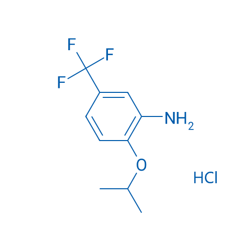 2-Isopropoxy-5-(trifluoromethyl)aniline hydrochloride 1g
