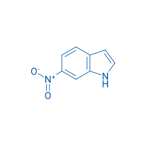 6-Nitroindole 25g
