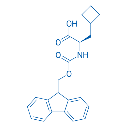 Fmoc-D-β-Cyclobutyl-Ala-OH 1g