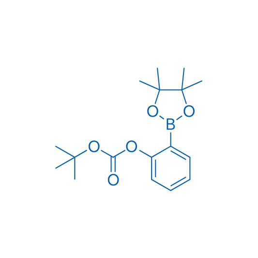 tert-Butyl (2-(4,4,5,5-tetramethyl-1,3,2-dioxaborolan-2-yl)phenyl) carbonate 5g