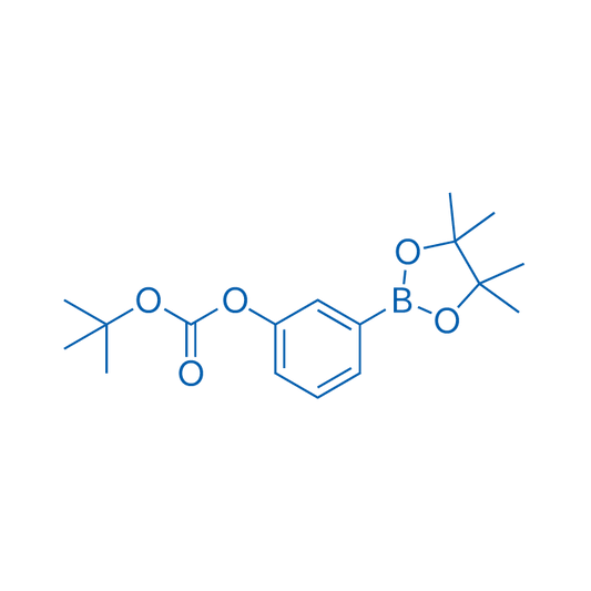 tert-Butyl (3-(4,4,5,5-tetramethyl-1,3,2-dioxaborolan-2-yl)phenyl) carbonate 250mg
