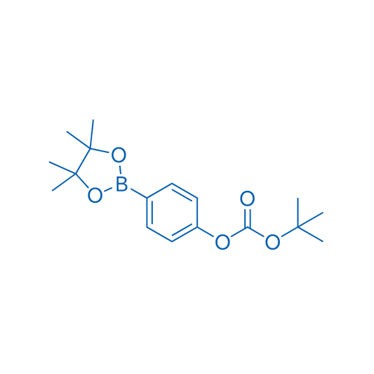 tert-Butyl (4-(4,4,5,5-tetramethyl-1,3,2-dioxaborolan-2-yl)phenyl) carbonate 1g