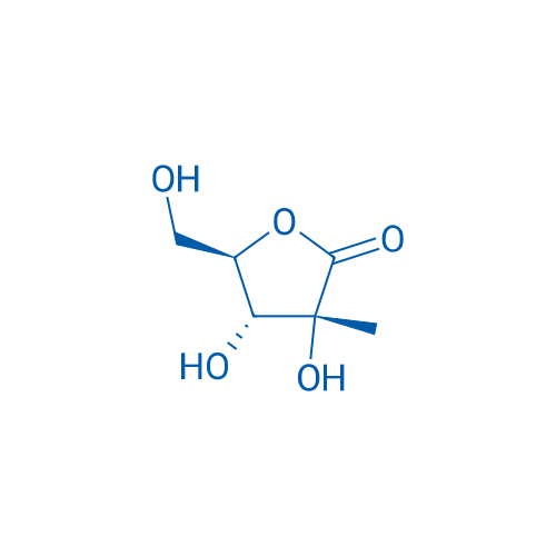 2-β-C-Methyl-D-ribono-1,4-lactone 500g