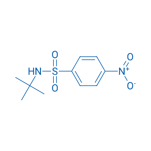N-tert-Butyl 4-Nitrophenylsulfonamide 10g