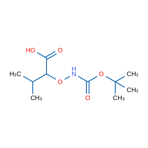 2-({[(tert-butoxy)carbonyl]amino}oxy)-3-methylbutanoic acid 1g