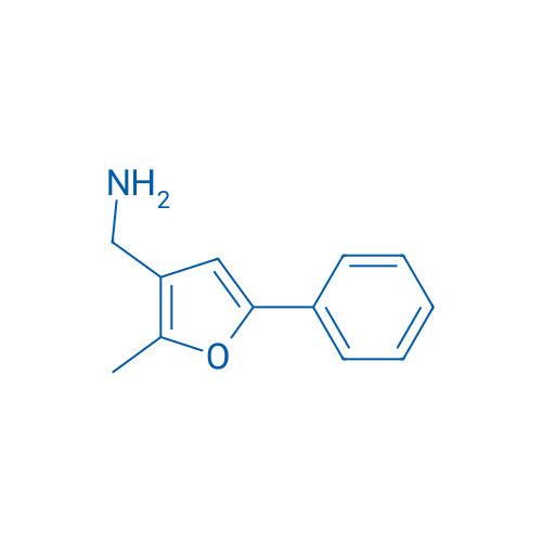 (2-Methyl-5-phenylfuran-3-yl)methanamine 1g