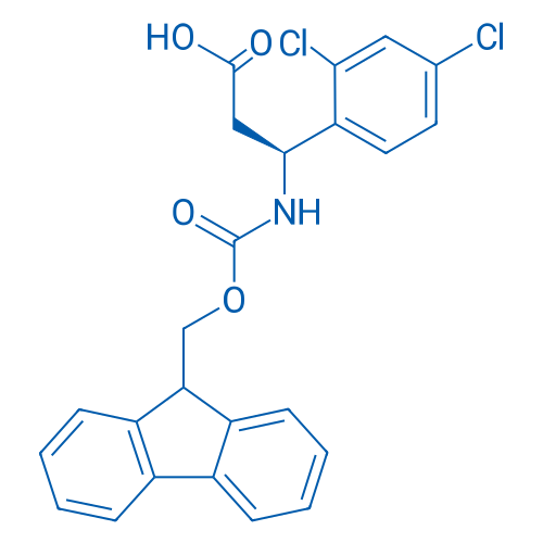 Fmoc-β-Phe(2,4-DiCl)-OH 1g