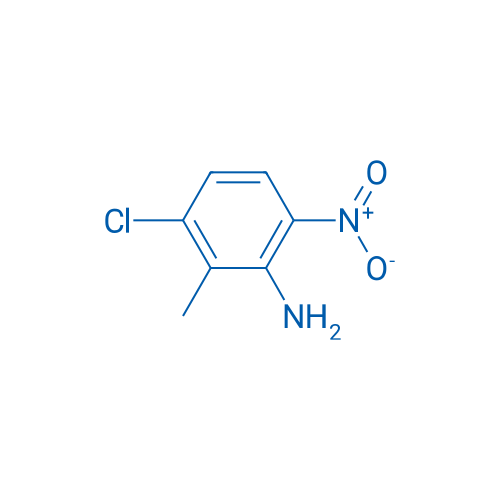 3-Chloro-2-methyl-6-nitroaniline 1g