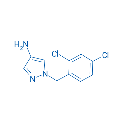 1-(2,4-Dichlorobenzyl)-1H-pyrazol-4-amine 1g