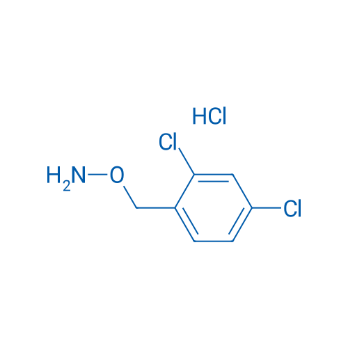 O-(2,4-Dichlorobenzyl)hydroxylamine hydrochloride 1g