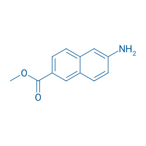 Methyl 6-amino-2-naphthoate 100mg