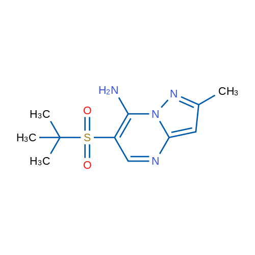 6-(tert-Butylsulfonyl)-2-methylpyrazolo[1,5-a]pyrimidin-7-amine 1g