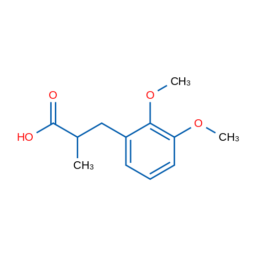 3-(2,3-Dimethoxyphenyl)-2-methylpropanoic acid 1g