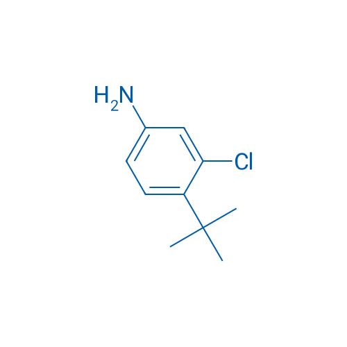 4-tert-Butyl-3-chloroaniline 250mg