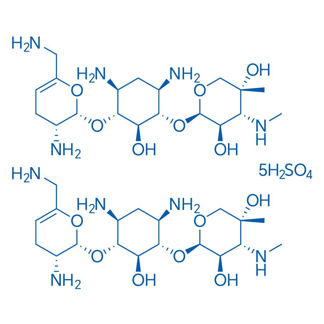 Sisomicin Sulfate 1g
