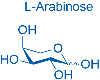 L-(+)-Arabinose 100g