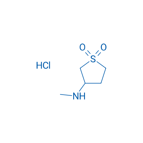 3-(Methylamino)tetrahydrothiophene 1,1-dioxide hydrochloride 1g