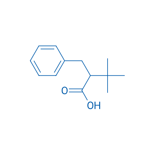 2-Benzyl-3,3-dimethylbutanoic acid 1g