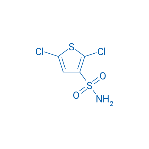 2,5-Dichlorothiophene-3-sulfonamide 10g