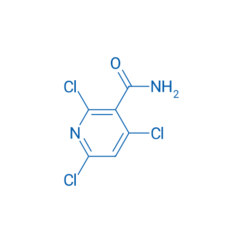 2,4,6-Trichloronicotinamide 250mg