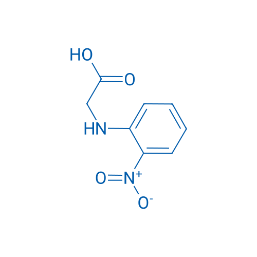 2-[(2-Nitrophenyl)amino]acetic acid 1g