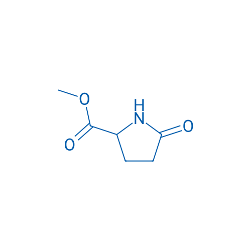 H-DL-Pyr-OMe 10g