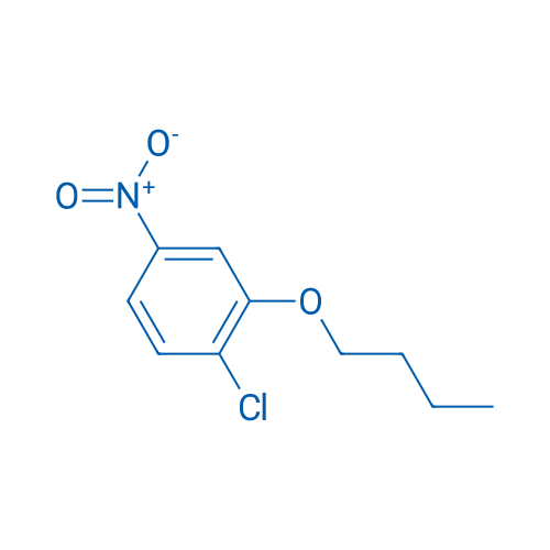 2-BUtoxy-1-chloro-4-nitrobenzene 5g