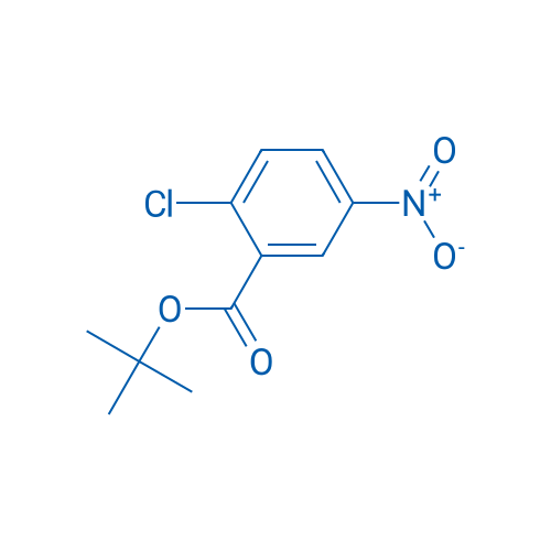 tert-Butyl 2-chloro-5-nitrobenzoate 1g