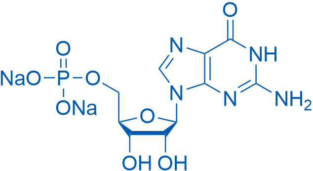 5'-Guanylic acid disodium salt 500g