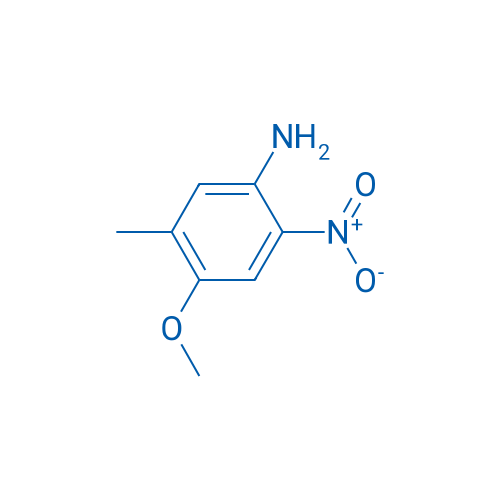 4-Methoxy-5-methyl-2-nitroaniline 1g