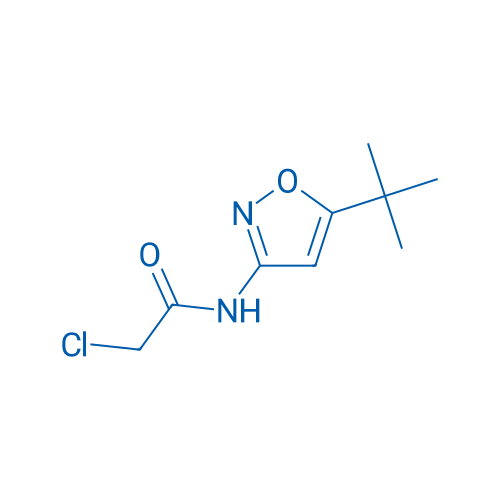 N-(5-(tert-Butyl)isoxazol-3-yl)-2-chloroacetamide 5g