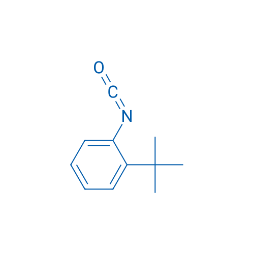 2-(tert-Butyl)phenylisocyanate 25g