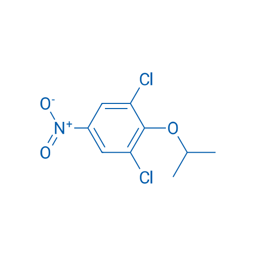 1,3-Dichloro-5-nitro-2-(propan-2-yloxy)benzene 1g