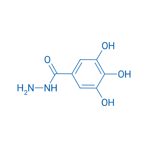 3,4,5-Trihydroxybenzohydrazide 100g