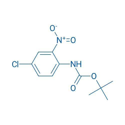 tert-Butyl (4-chloro-2-nitrophenyl)carbamate 1g