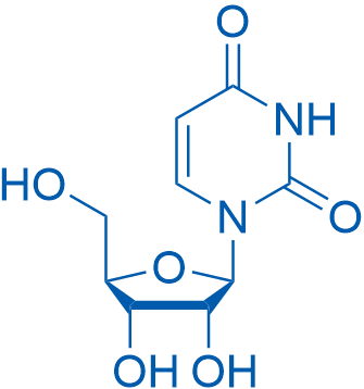 Uridine 10g