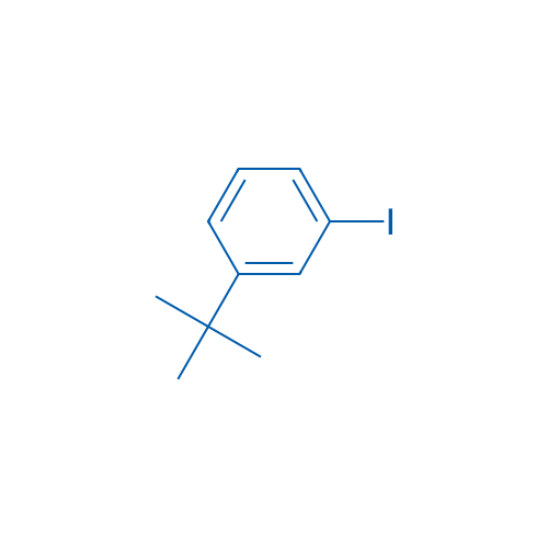 1-(tert-Butyl)-3-iodobenzene 1g