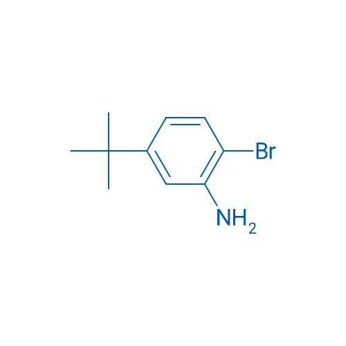 2-Bromo-5-(tert-butyl)aniline 25g